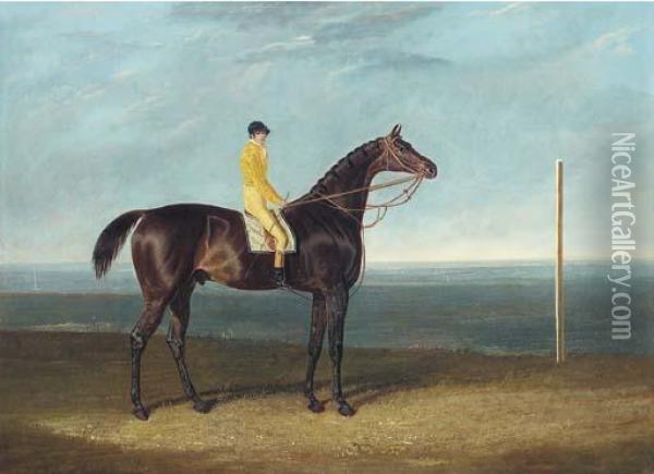 Jack Spigot, A Dark Bay Racehorse With Jockey Up Oil Painting - John Frederick Herring Snr