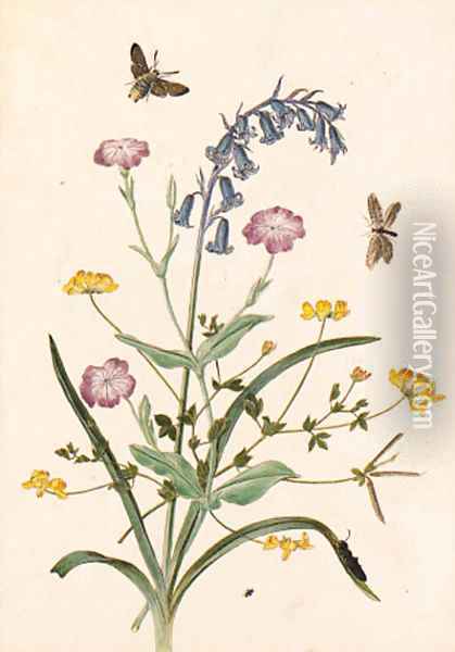 Bluebell and Lychnis with a Hawk moth Oil Painting - Thomas Robins
