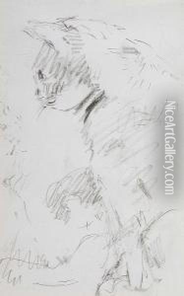 Sketch Of A Cat Oil Painting - Harry Becker