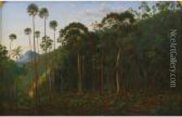 Cabbage Trees Near The Shoalhaven River, N.s.w. Oil Painting - Eugene von Guerard