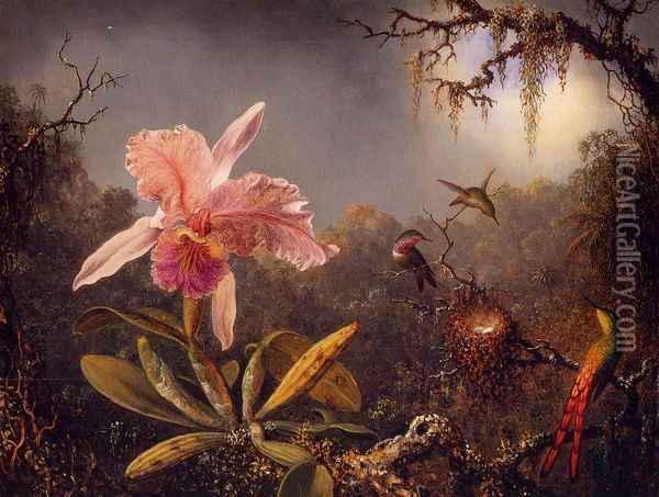 Cattelya Orchid and Three Brazilian Hummingbirds Oil Painting - Martin Johnson Heade