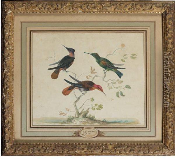 Trois Oiseaux Branches Oil Painting - Johannes Bronkhorst