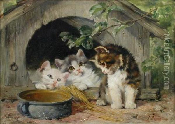 Three Kittens With A Bowl Of Milk Oil Painting - Julius I Adam