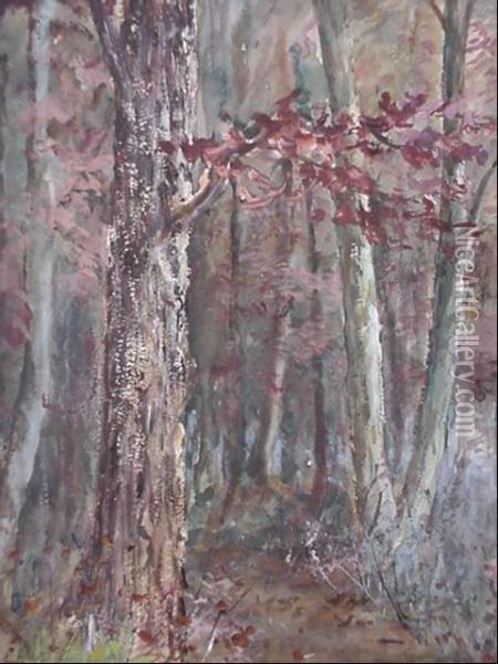 Woodland Scene With Stream Oil Painting - William Savery Bucklin