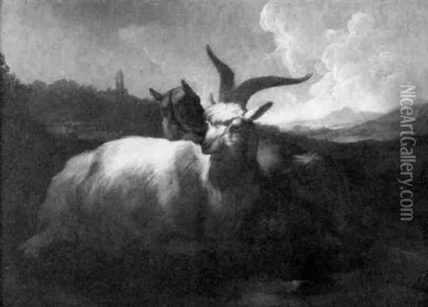 Schafe Vor Einem Geoffneten Gatter Oil Painting - Johann Melchior Roos