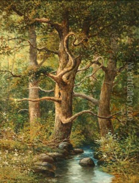 Stream Through A Forest Oil Painting - Joseph Langsdale Pickering