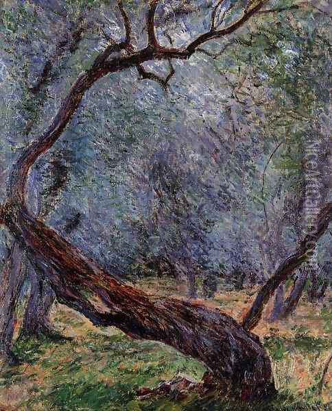 Study Of Olive Trees Oil Painting - Claude Oscar Monet