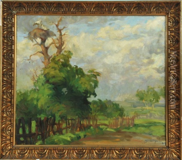 Baum Mit Storchennest In Weiter Landschaft Oil Painting - Jan Autengruber