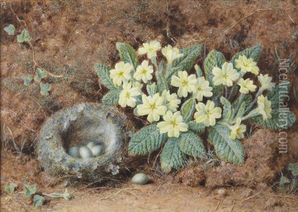 Primroses And Bird's Nest On A Mossy Bank Oil Painting - William Hough