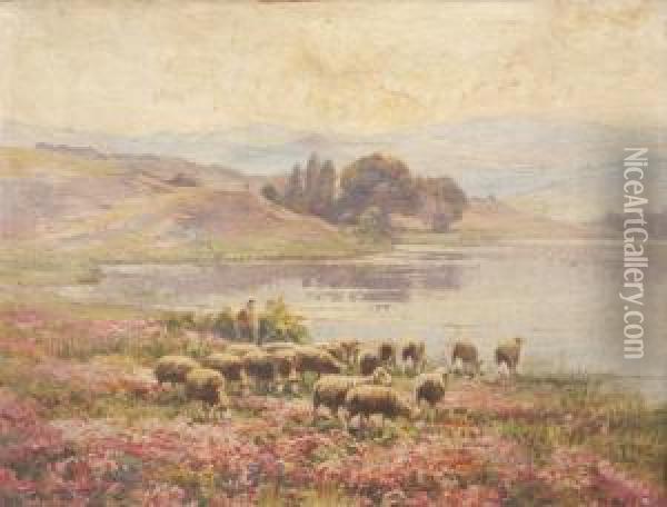Les Moutons Dans La Bruyere Oil Painting - Edouard Pail