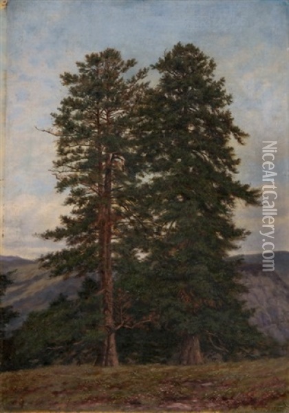 Landschaft Mit Tannen Oil Painting - Heinrich Naegeli