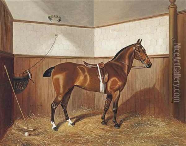 Jessie The Polo Pony Oil Painting - Benjamin Cam Norton