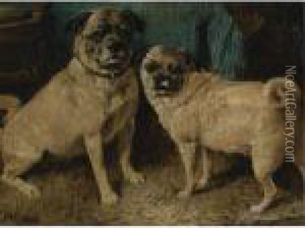 A Pair Of Pugs Oil Painting - John Emms