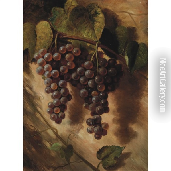 Still Life Of Grapes On The Vine Oil Painting - Richard La Barre Goodwin
