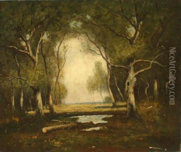 A Woodland Clearing Oil Painting - Max Weyl