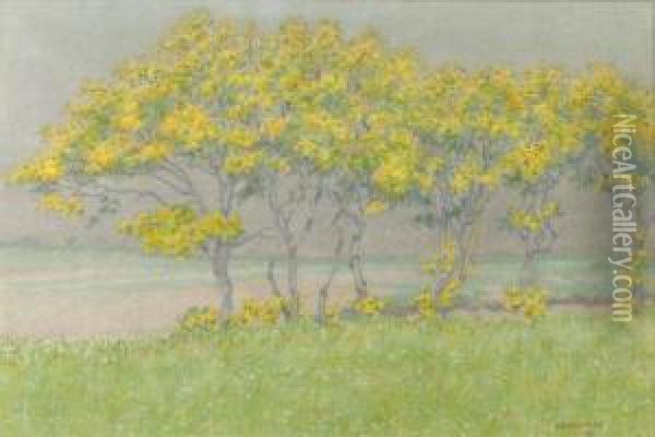 Landscape In 't Gooi Oil Painting - Co Breman