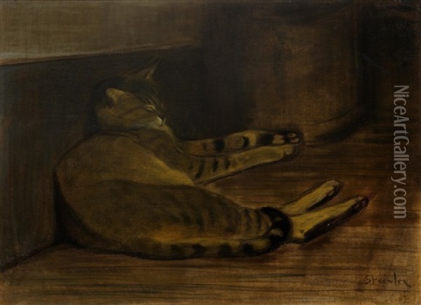 Recumbent Cat Oil Painting - Theophile Alexandre Steinlen