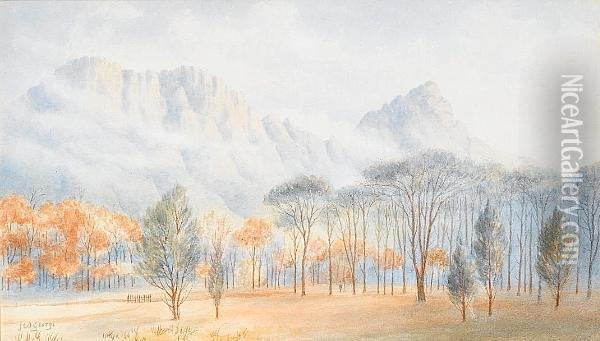 Table Mountain From Newlands Oil Painting - William George Knight