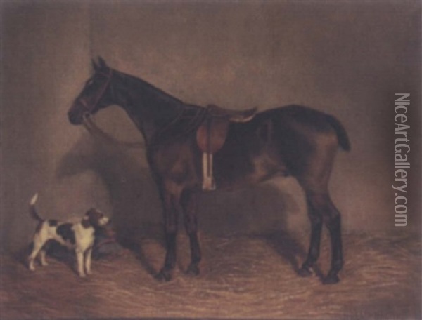A Saddled Brown Horse Oil Painting - Nassau Blair Browne