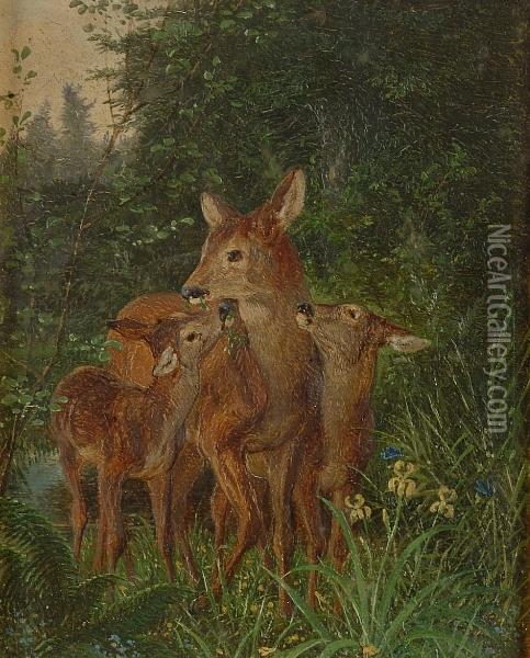 Hind And Two Calves In Woodland Oil Painting - Guido Hammer
