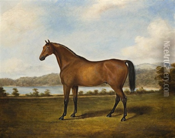 Racehorse, Sydney Oil Painting - Joseph Fowles
