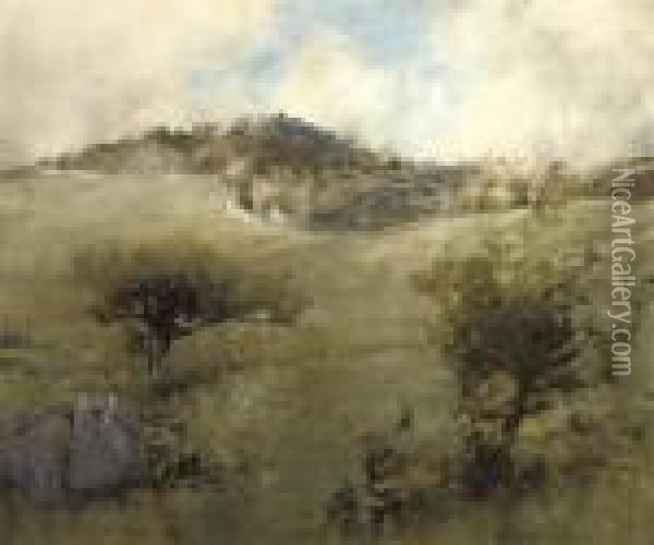Hillside, Moniaive Oil Painting - James Paterson