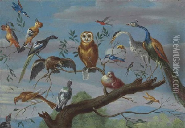 A Concert Of Birds: An Owl, Pigeon, Canary, Peacock And Other Birds On A Tree Branch Oil Painting - Jan van Kessel the Younger