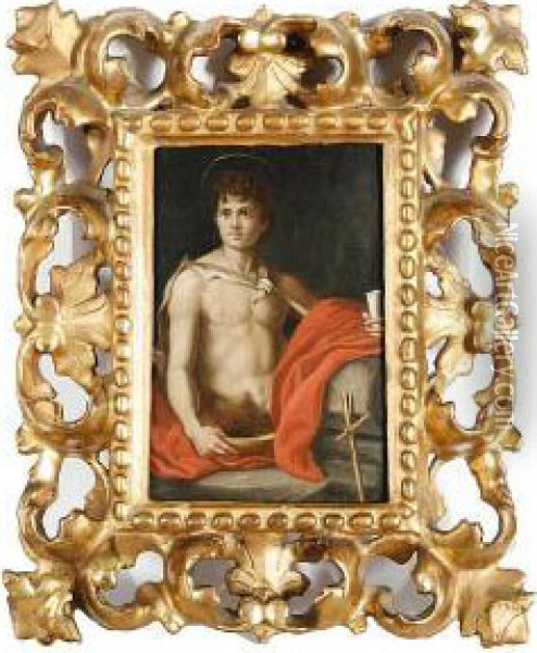John The Baptist Oil Painting - Andrea Del Sarto
