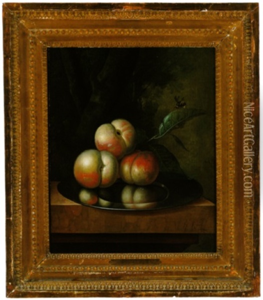 Stillleben Mit Apfeln Auf Einem Zinnteller Oil Painting - Johannes Christianus Roedig