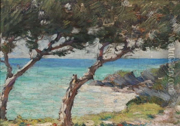 Coastal View With Trees, Probably Bermuda Oil Painting - Clark Greenwood Voorhees