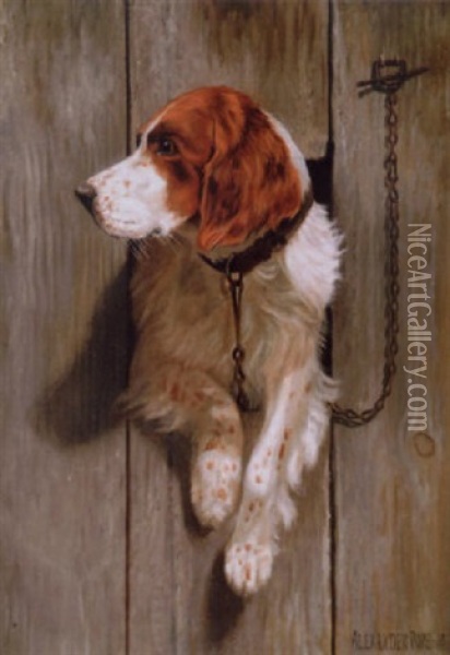 Awaiting His Master (an English Spaniel) Oil Painting - Alexander Pope