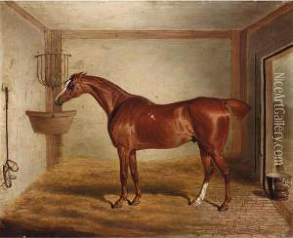 ``whittington', A Favourite Bay Hunter In A Stable Oil Painting - David of York Dalby