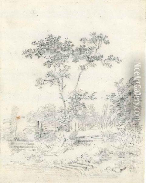 Paysage, Etude D'arbre Oil Painting - Jean-Honore Fragonard