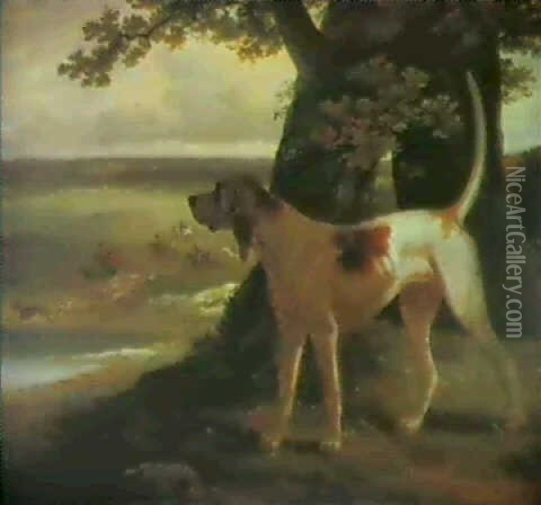 A Stag Hound Of The Royal Pack Under A Tree At Windsor Oil Painting - Philipp Reinagle