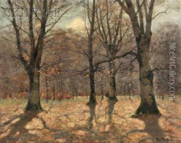 Thru The Woods Oil Painting - Peter Paul Muller