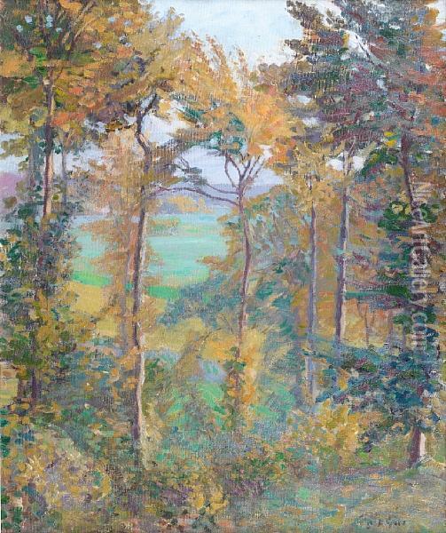 Wooded Landscape At Tibermont, Neuville Lesdieppes Oil Painting - Spencer Frederick Gore