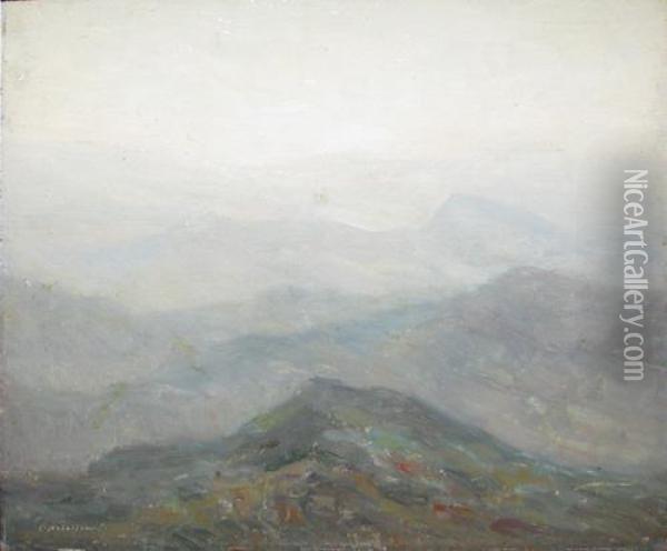 Pe Vrful Muntelui Oil Painting - Constantin Aricescu
