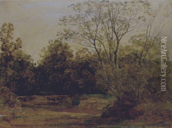 Lichtung Im Wald Oil Painting - Georg Maximilian Johann Von Dillis