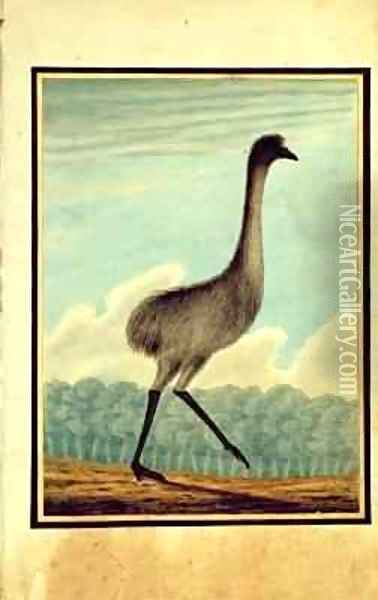The Emue Oil Painting - T.R. Browne