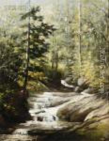 Woodland Waterfall Oil Painting - Harrison Bird Brown