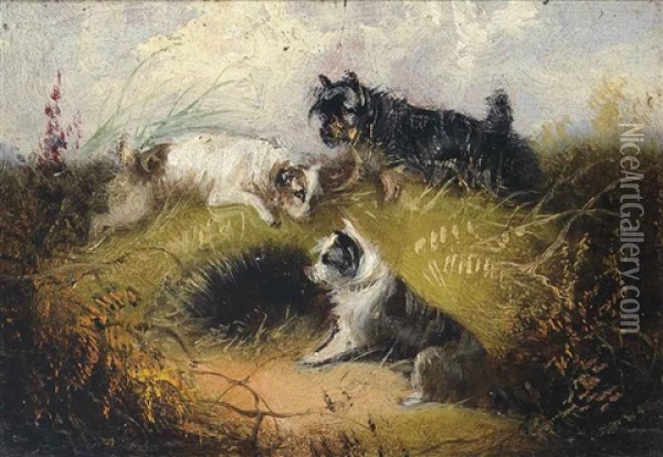 Terriers Rabbitting; On Point; And The Catch (3 Works) Oil Painting - George Armfield