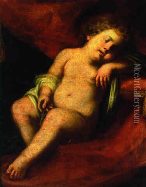 A Child Sleeping Oil Painting - Domenico Piola