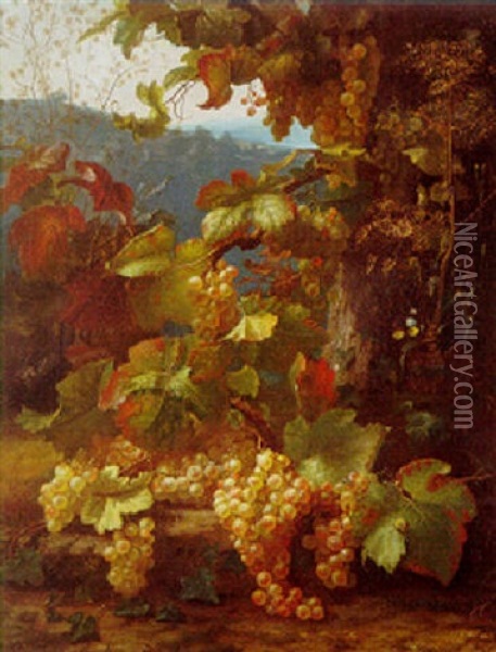 Grapes On The Vine Oil Painting - Alexis Kreyder