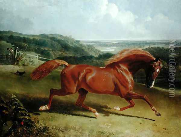 Galloping Horse in a Landscape Oil Painting - John Frederick Herring Snr