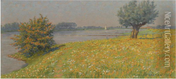 Voorjaar Aan Den Rijn Oil Painting - Co Breman
