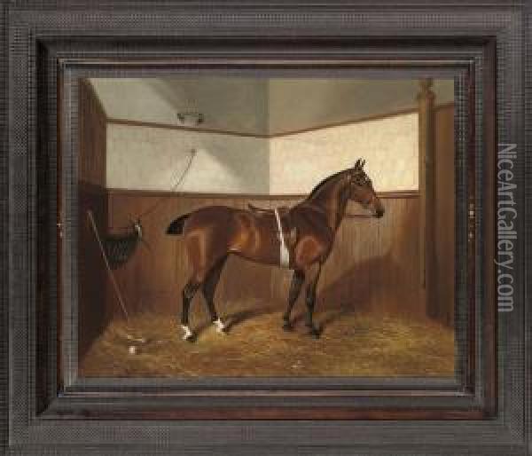 The Polo Pony 'jessie' With Stick And Ball Oil Painting - Benjamin Cam Norton