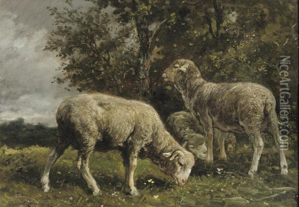 Moutons Sous Un Arbre: Sheep Under A Tree Oil Painting - Charles Jacques
