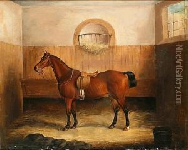 A Bay Horse In A Stable Interior Oil Painting - Samuel Spode