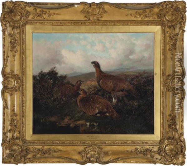 Home Of The Grouse Oil Painting - William Arnold Woodhouse