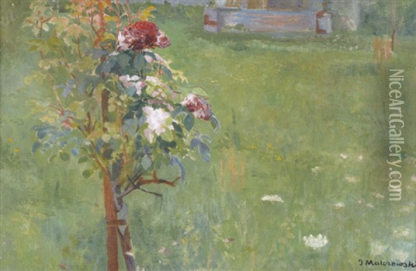 Gartenlandschaft Mit Bluhendem Rosenbaumchen Oil Painting - Jacek Malczewski